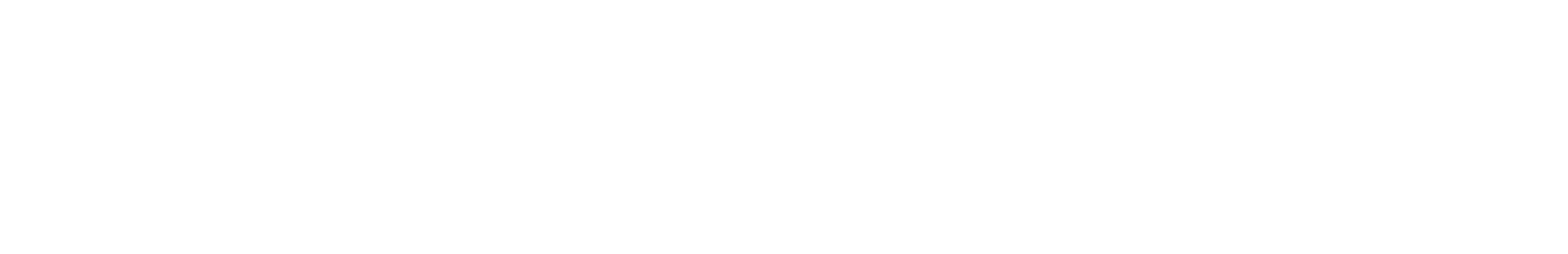 Nova Verta logo